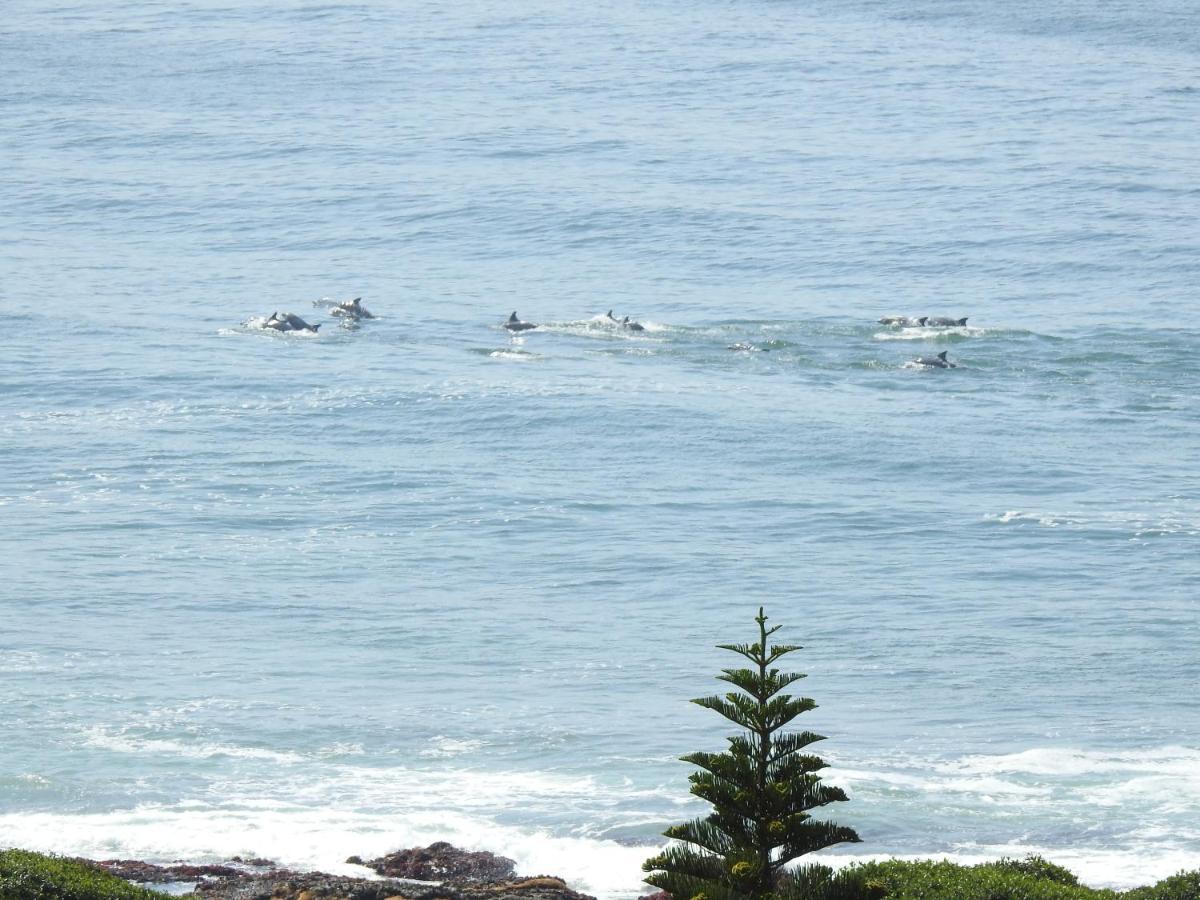 Surfstar At Mimosa Jeffreys Bay Appartement Buitenkant foto